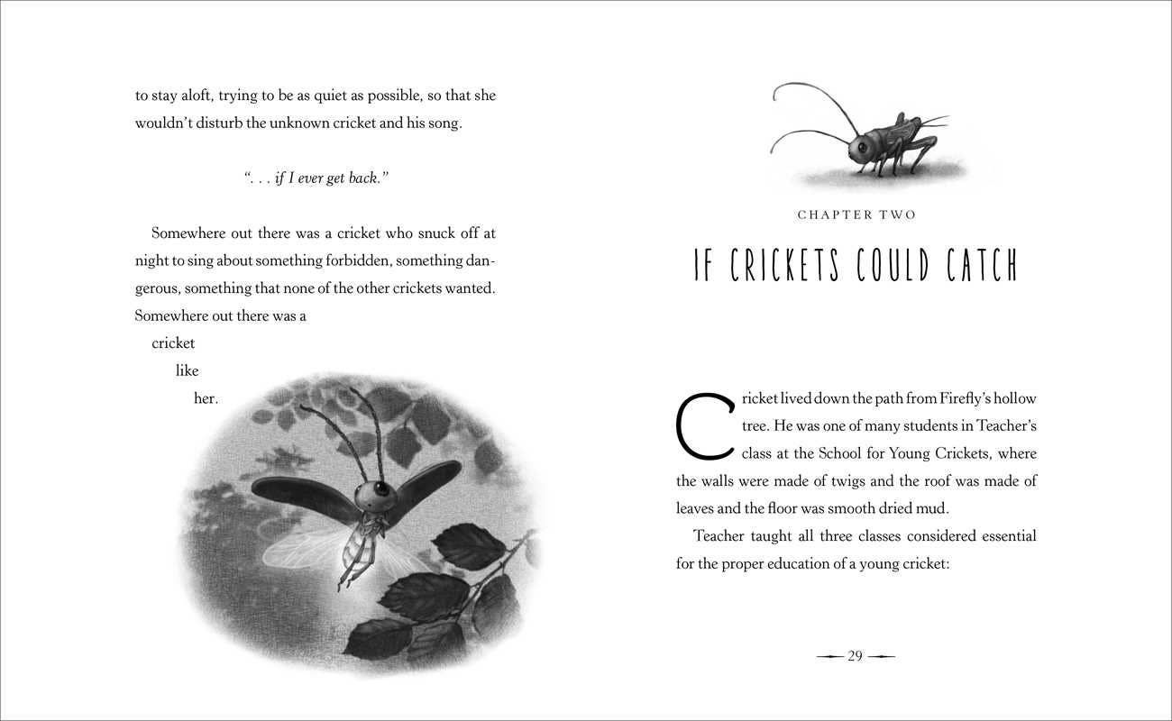 Firefly Hollow by Alison McGhee