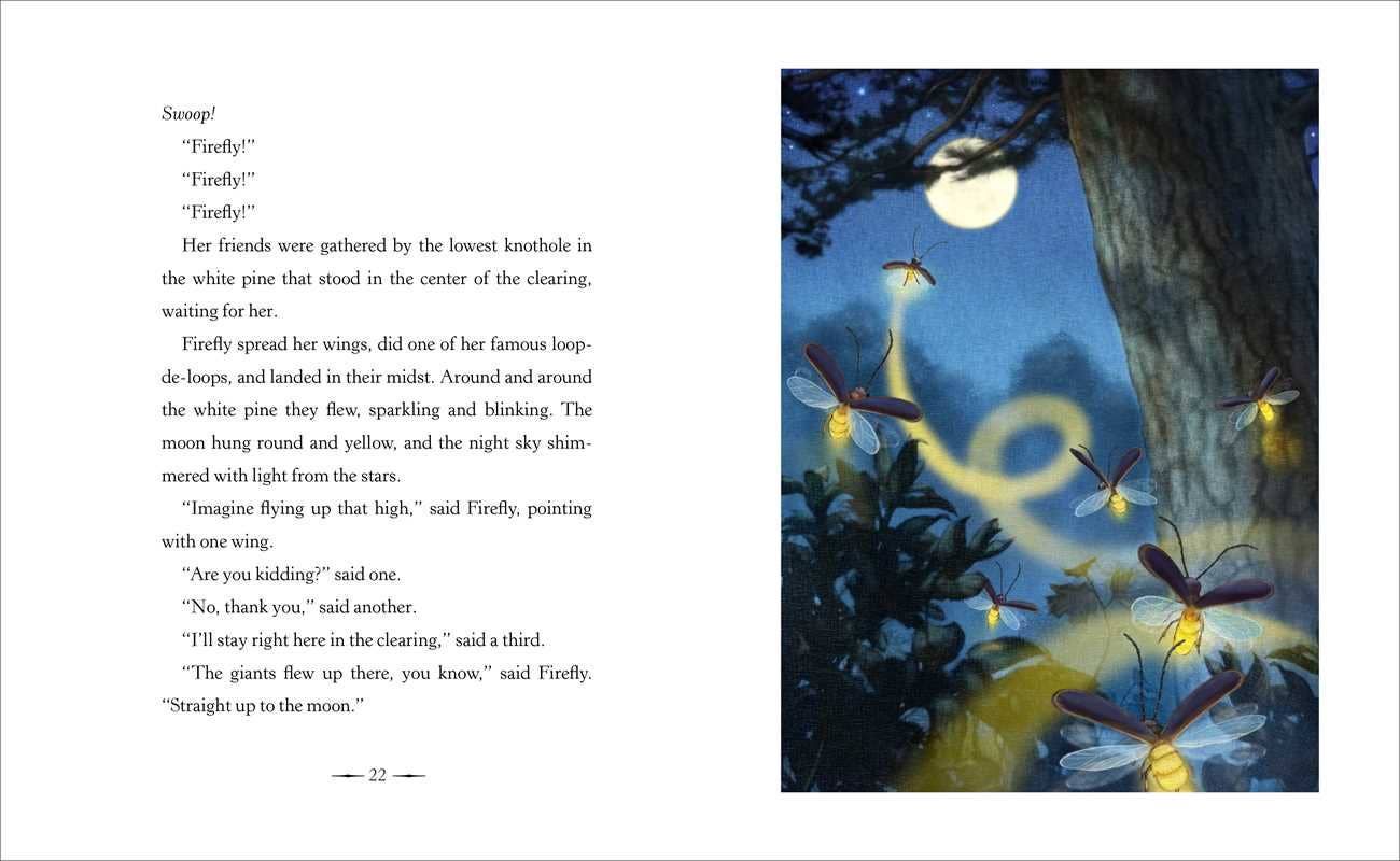 Firefly Hollow by Alison McGhee
