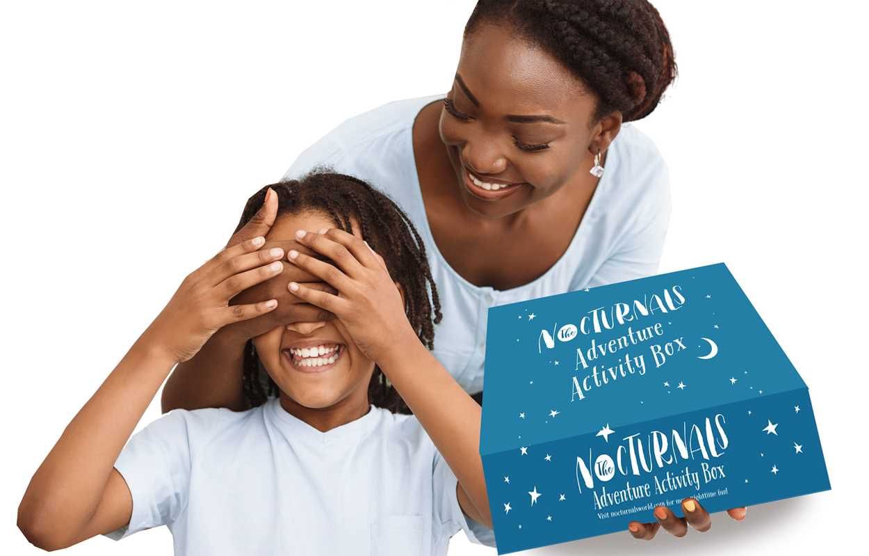 Nocturnals Adventure Activity Box by Tracey Hecht