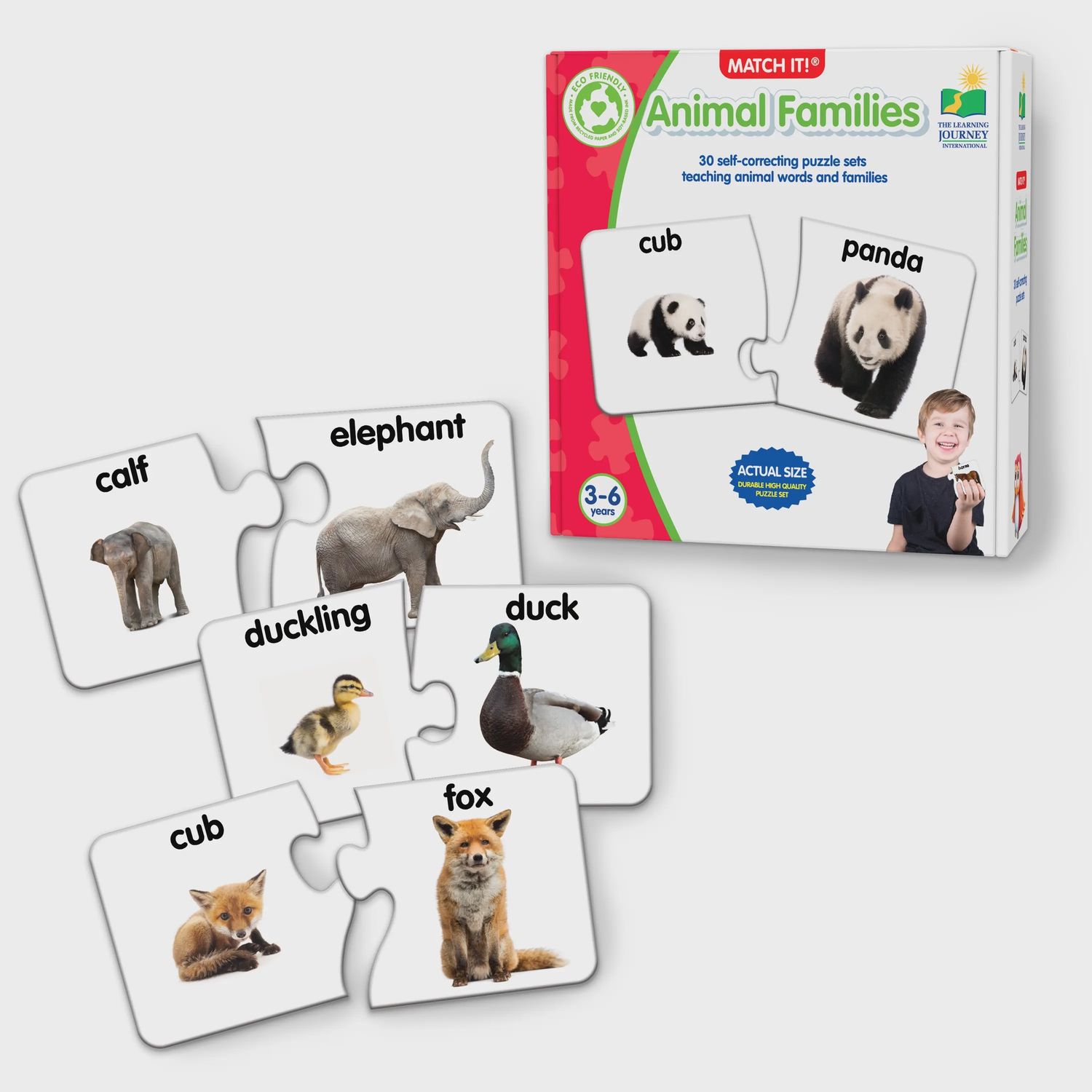 Match It! - Animal Families