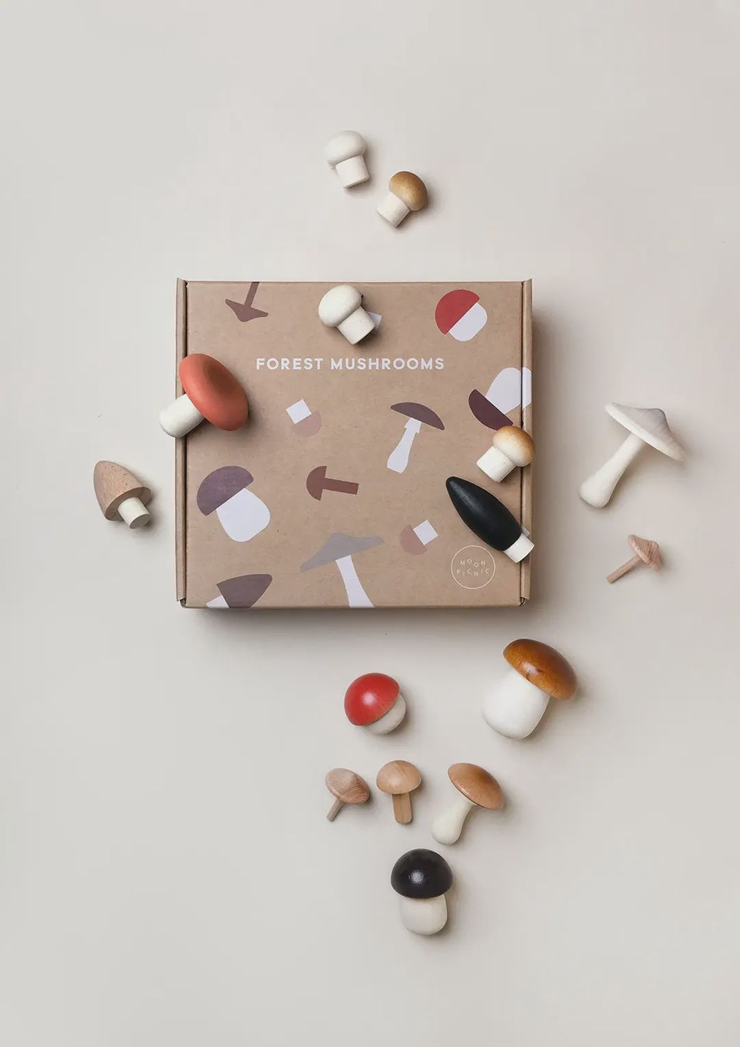 Moon Picnic - Forest Mushrooms in a box