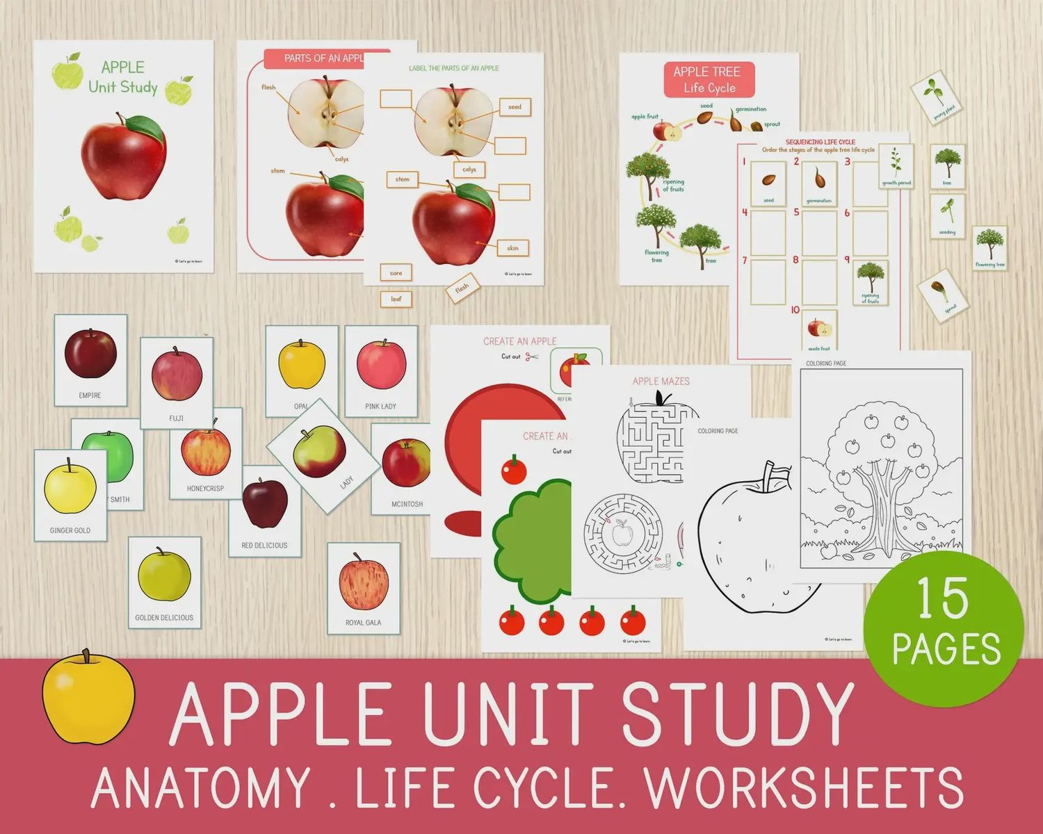 Apple Study Unit, Laminated and Cut