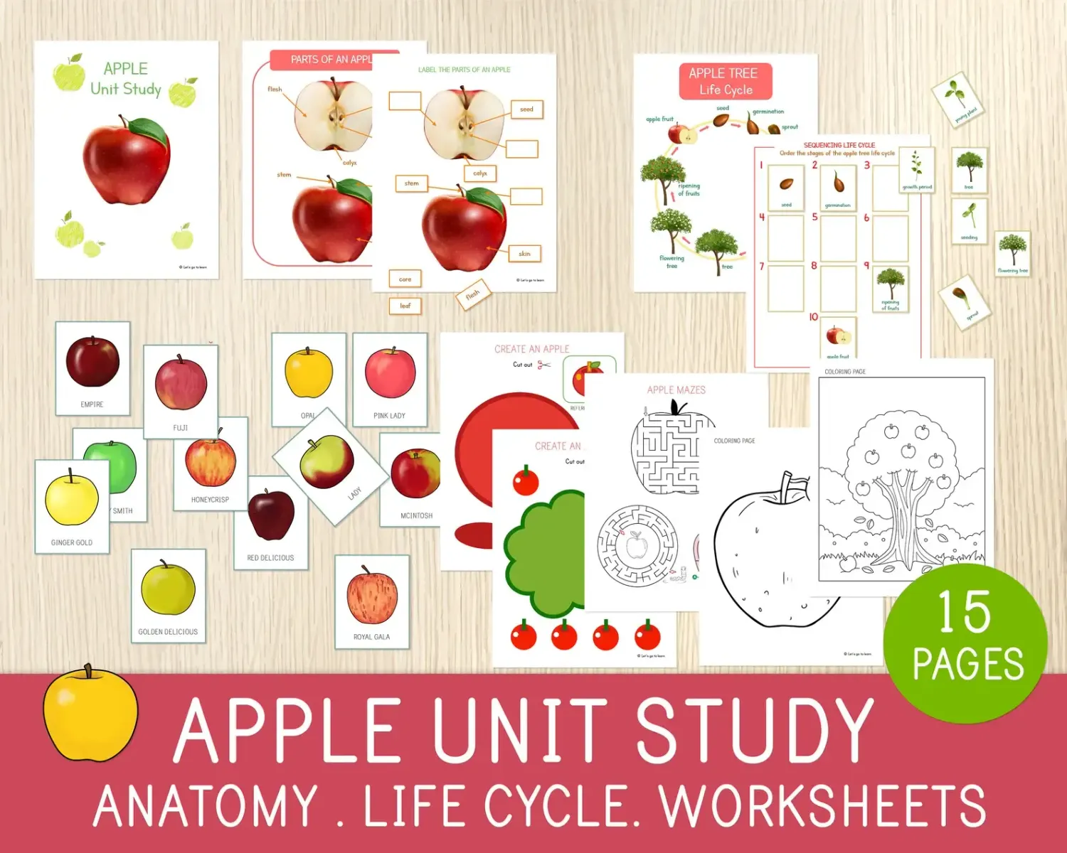 Apple Study Unit, Laminated and Cut