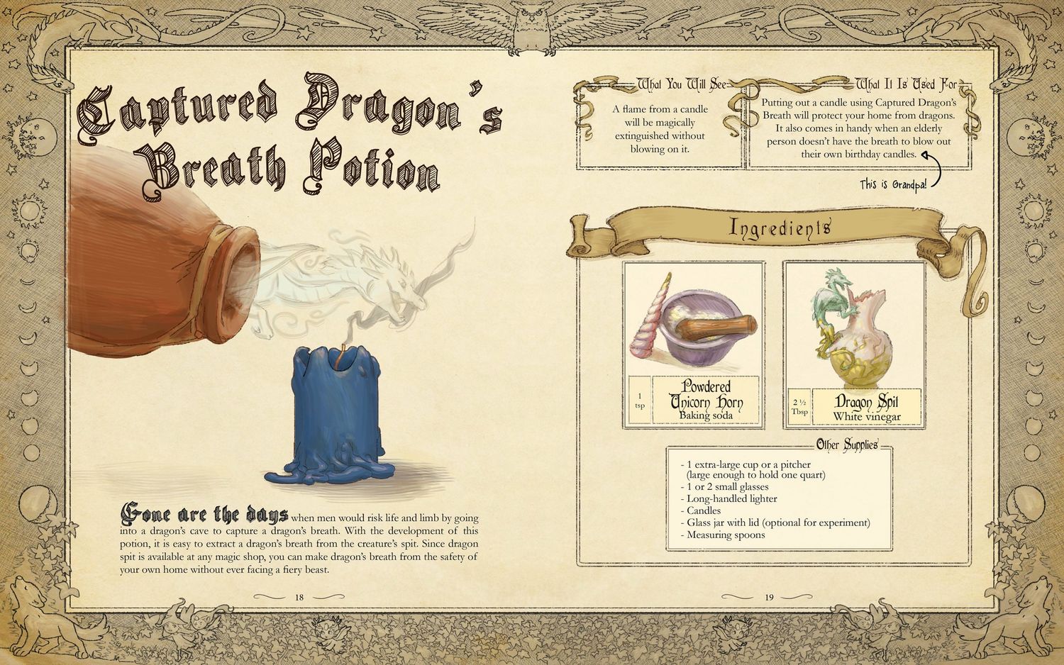 The Wizard's Workshop - A Science Activity Book