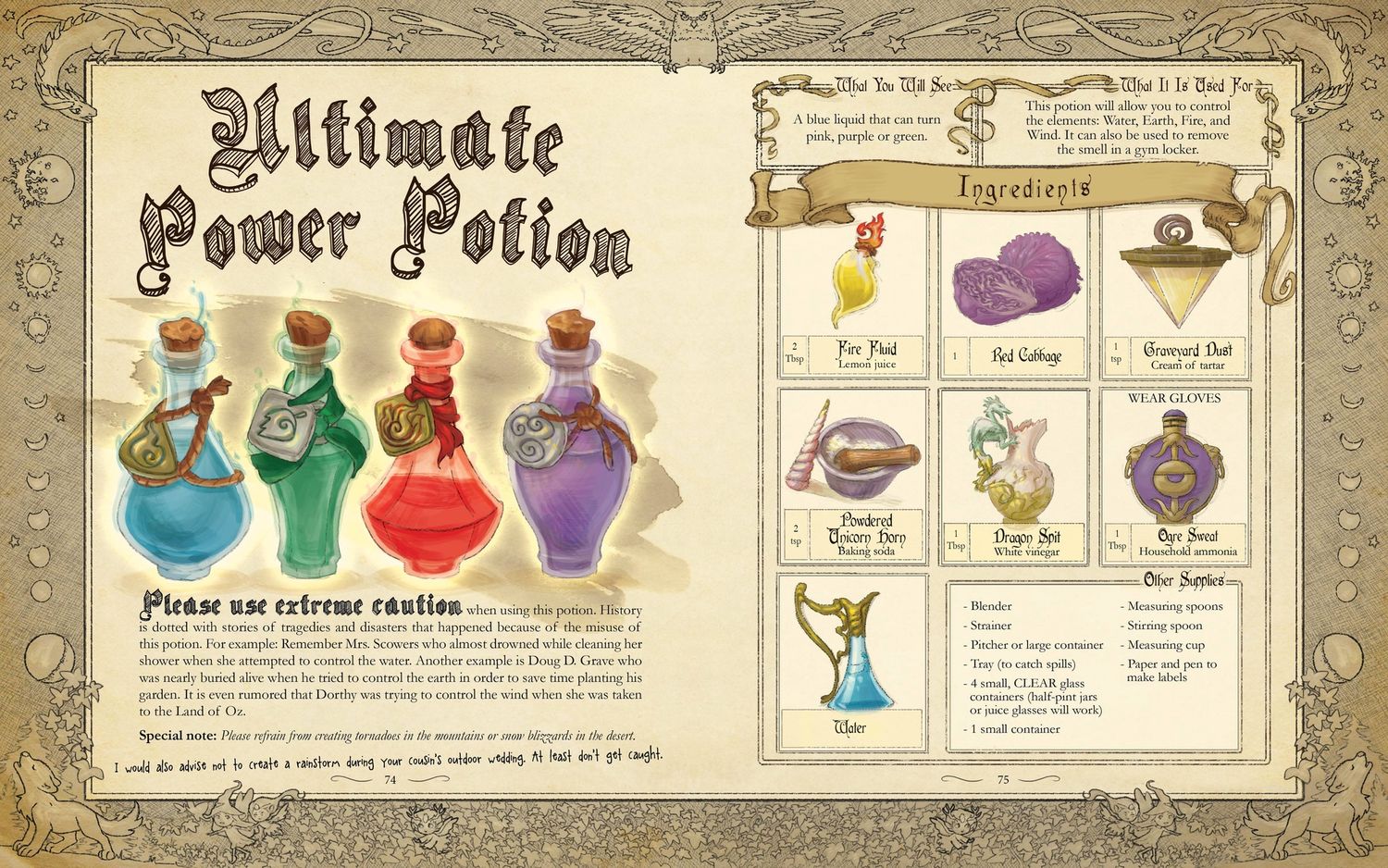 The Wizard's Workshop - A Science Activity Book