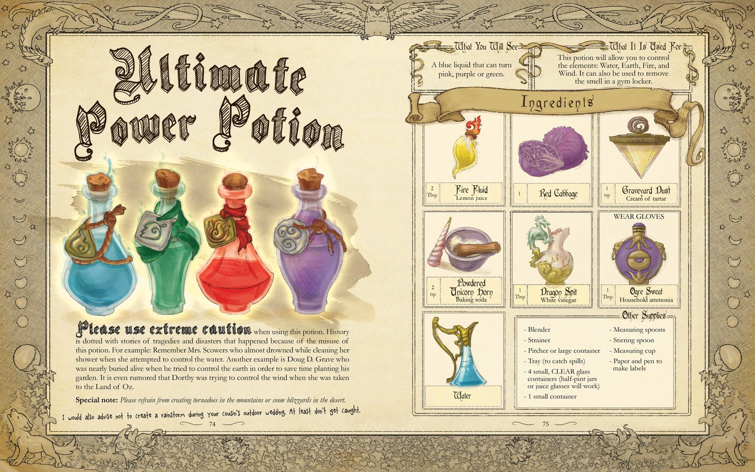 The Wizard's Workshop - A Science Activity Book