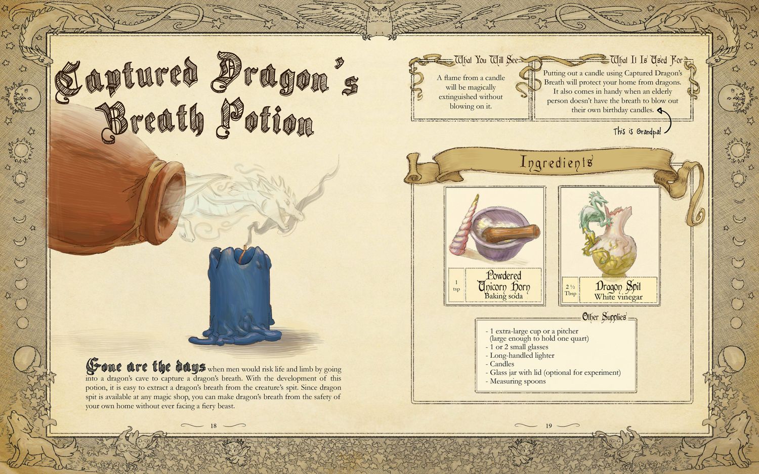The Wizard's Workshop - A Science Activity Book