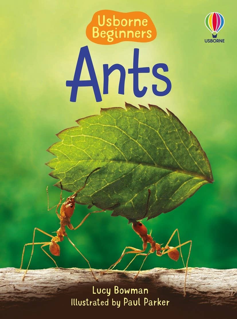 Ants : Usborne