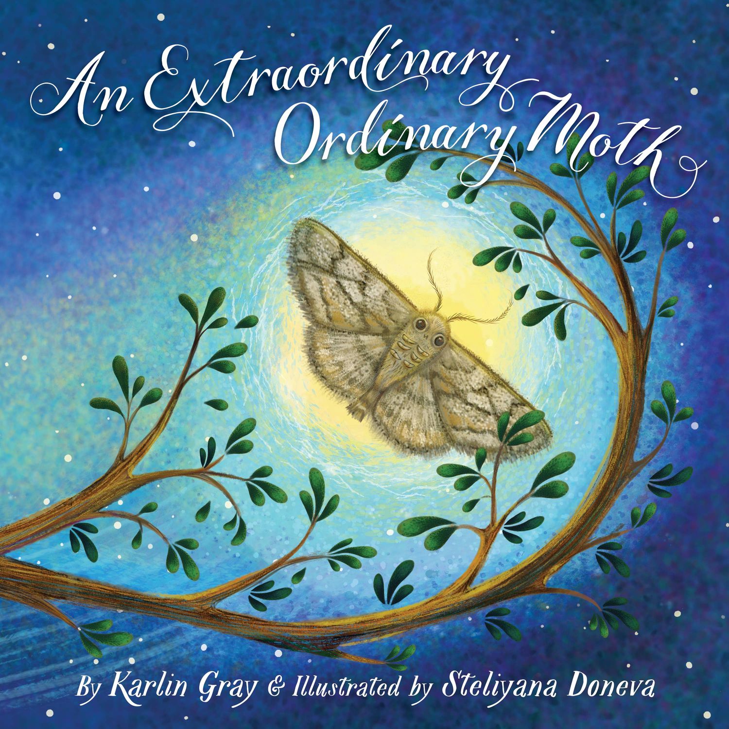 An Extraordinary Ordinary Moth Picture Book