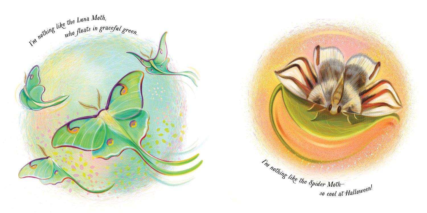 An Extraordinary Ordinary Moth Picture Book