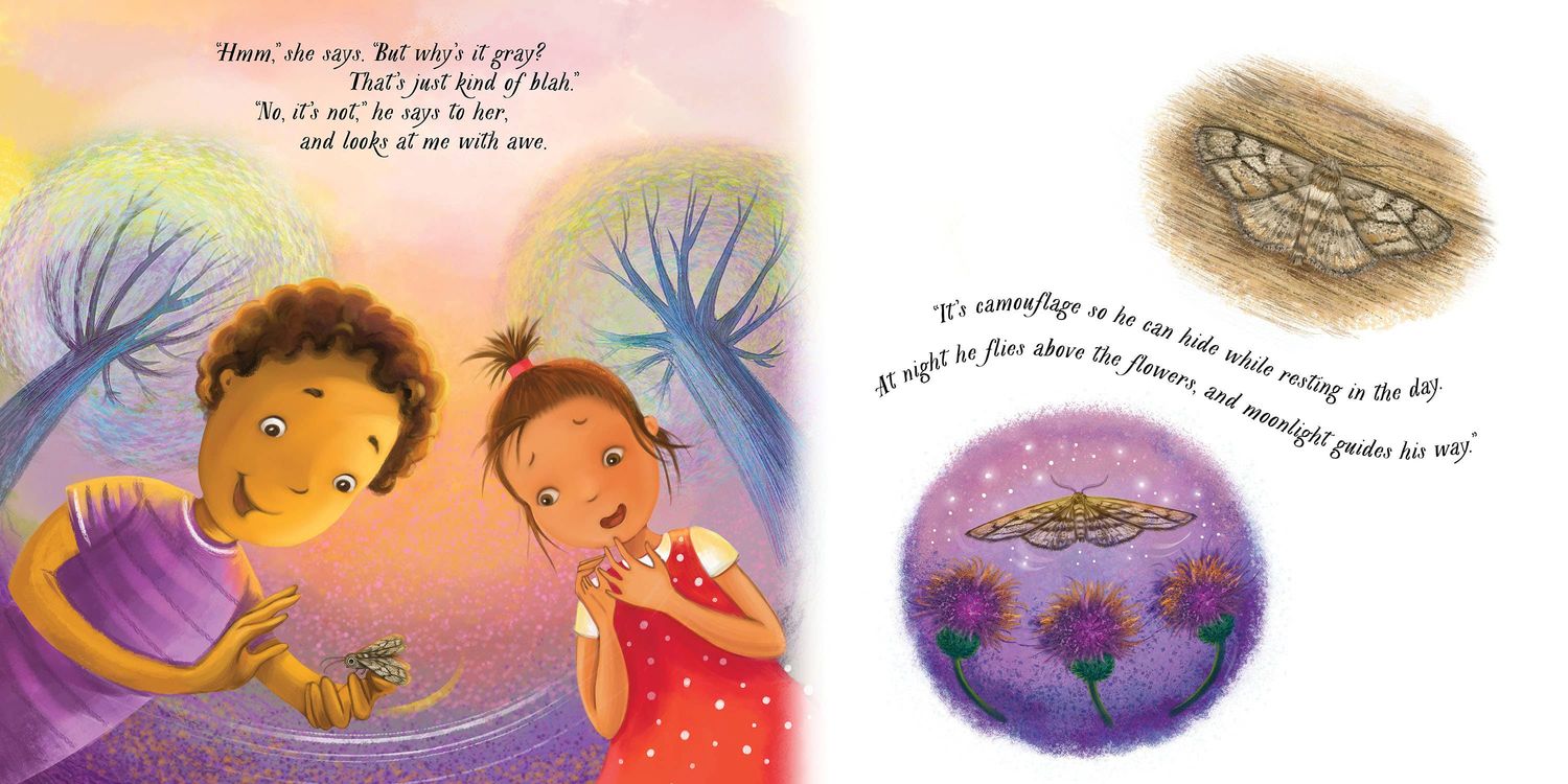 An Extraordinary Ordinary Moth Picture Book