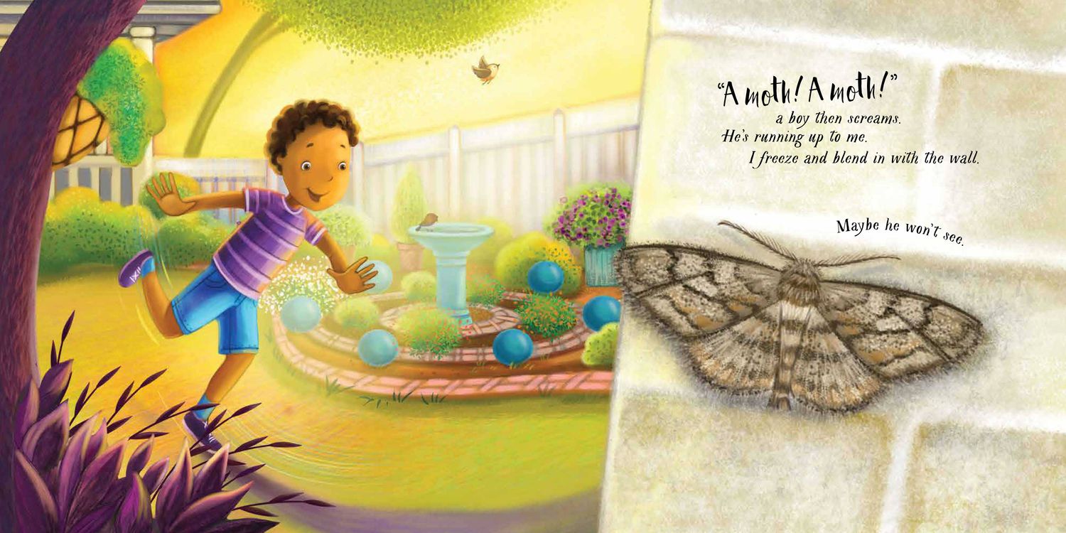 An Extraordinary Ordinary Moth Picture Book