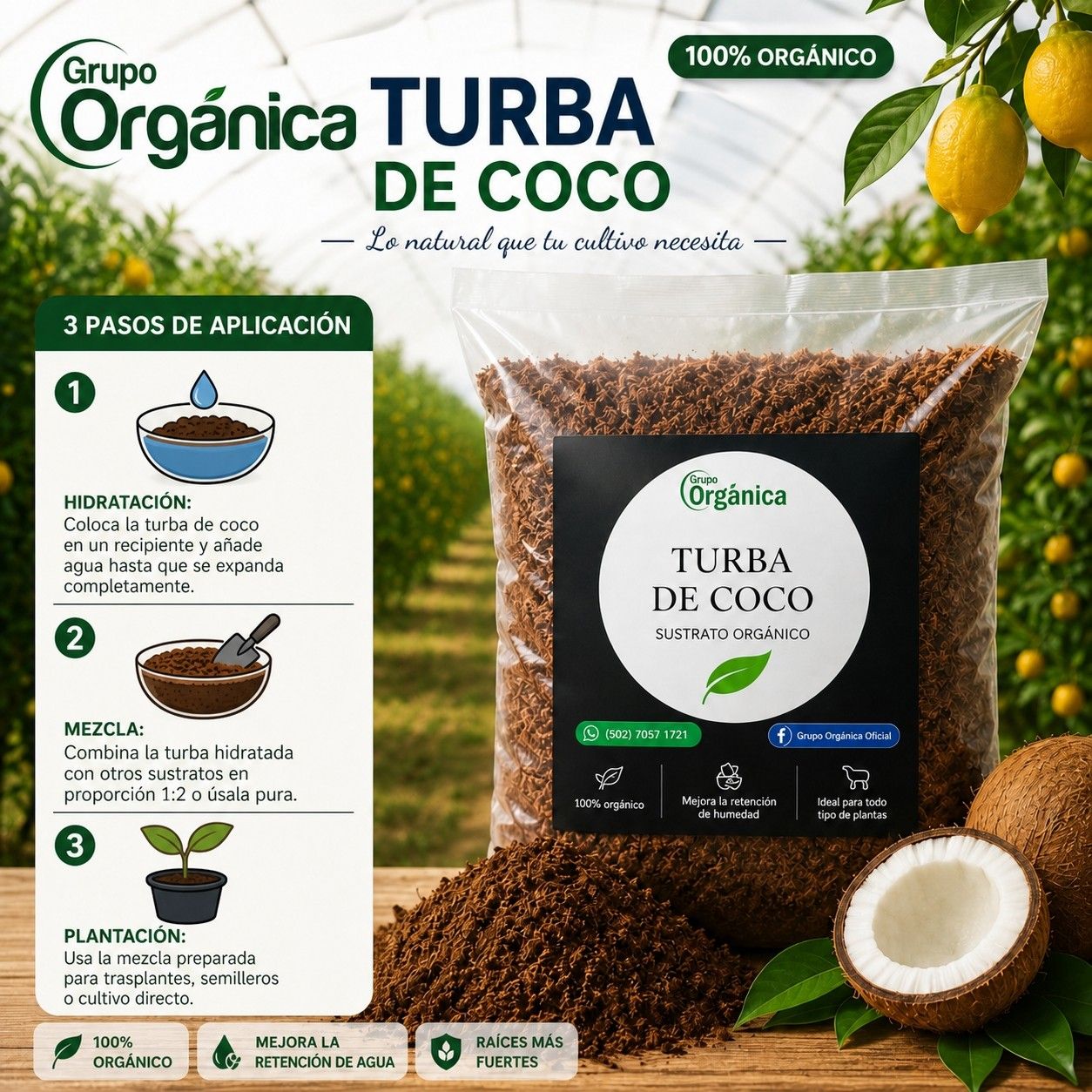 TURBA DE COCO BOLSA