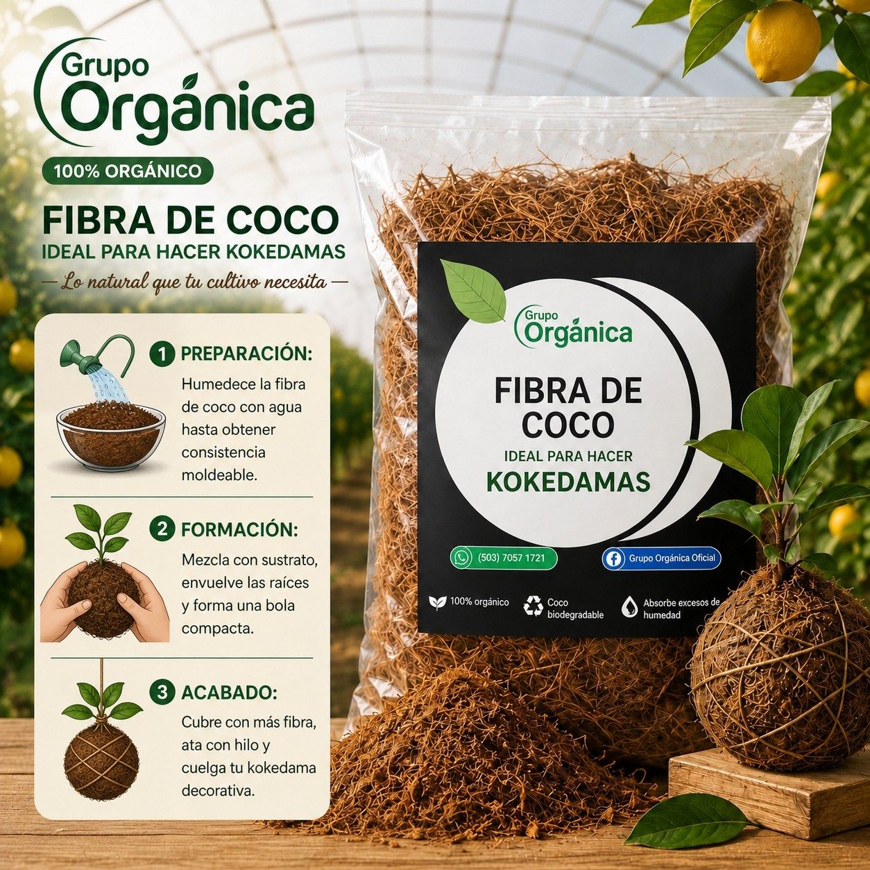 FIBRA DE COCO