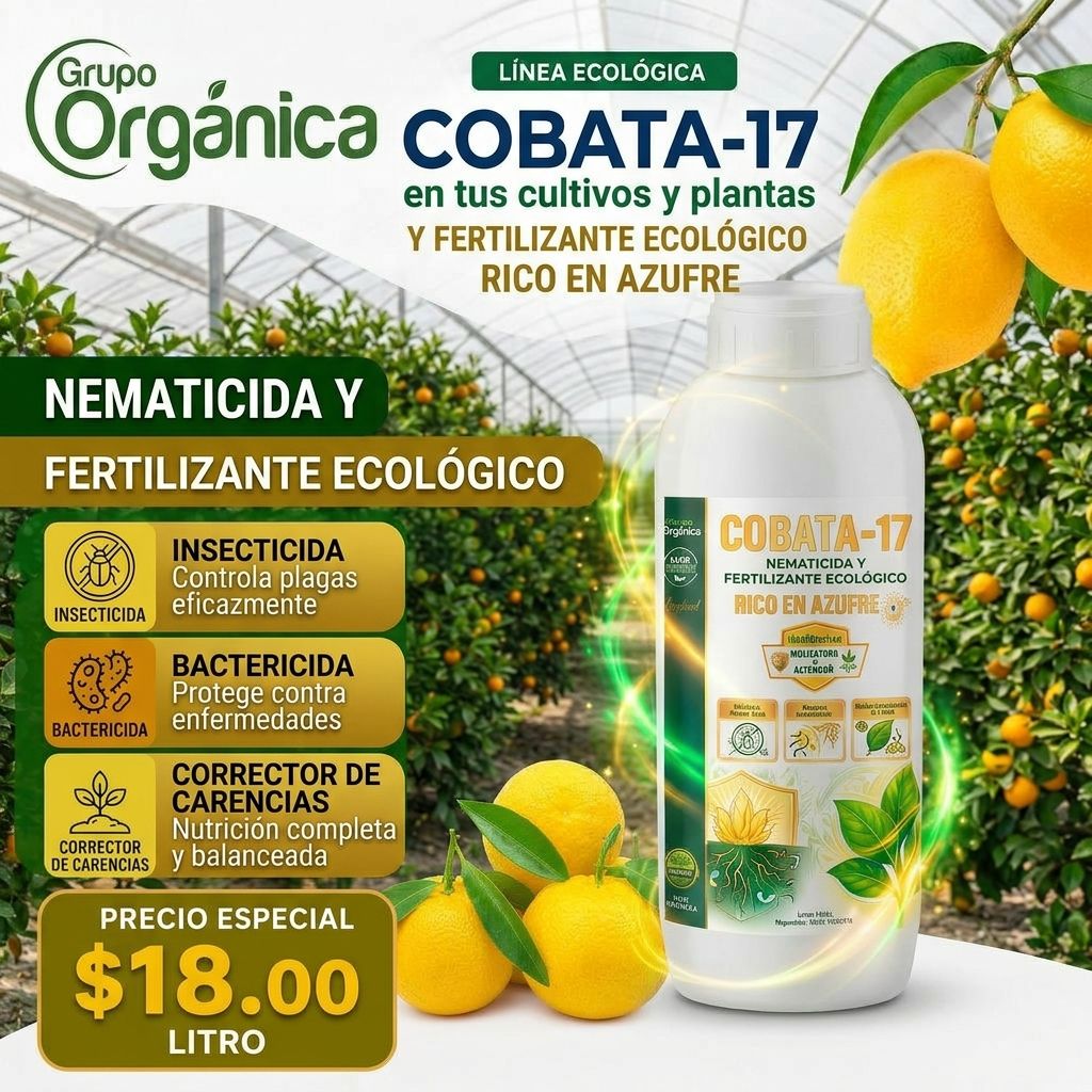 COBA-17