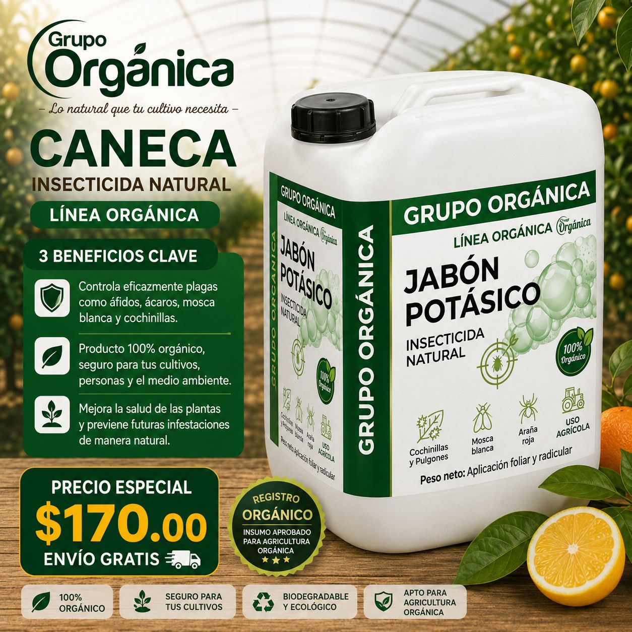 JABON POTASICO CANECA