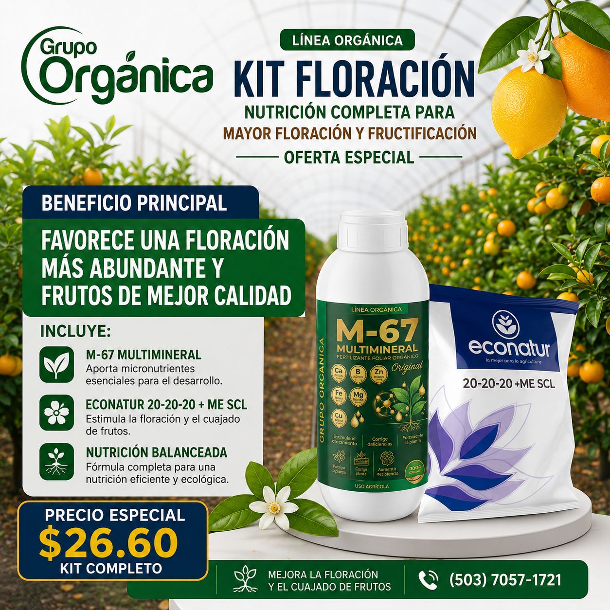 KIT FLORACION