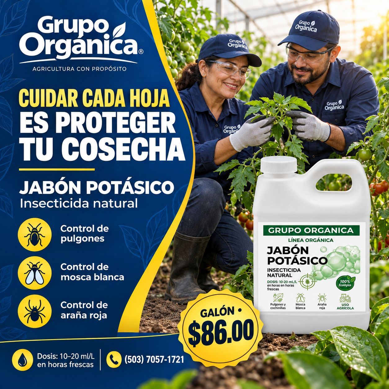 JABON POTASICO GALON