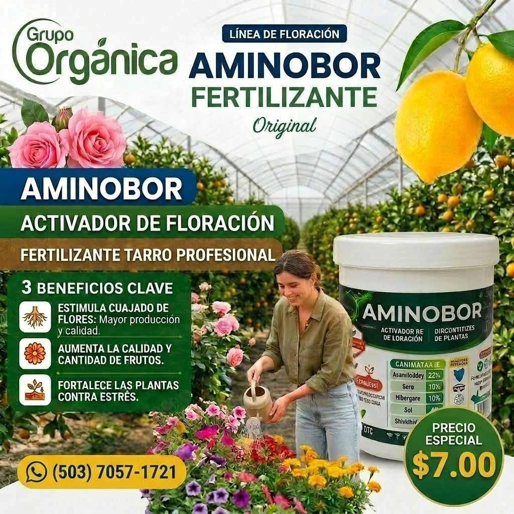 AMINOBOR