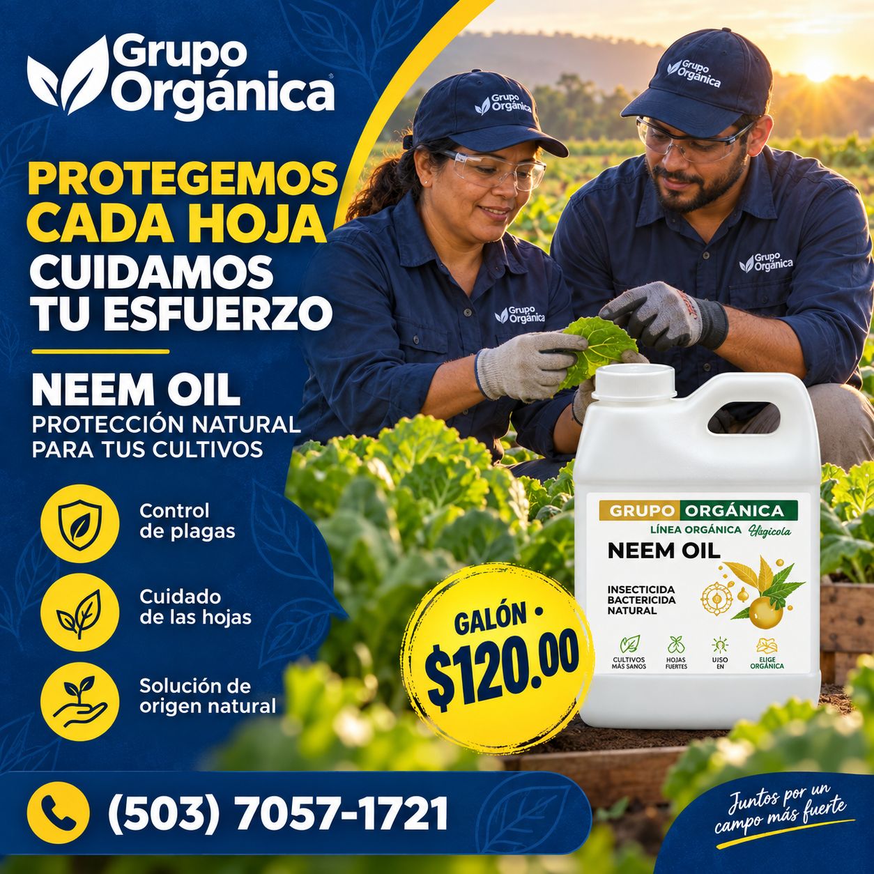 ACEITE DE NEEM 3.78 GALON