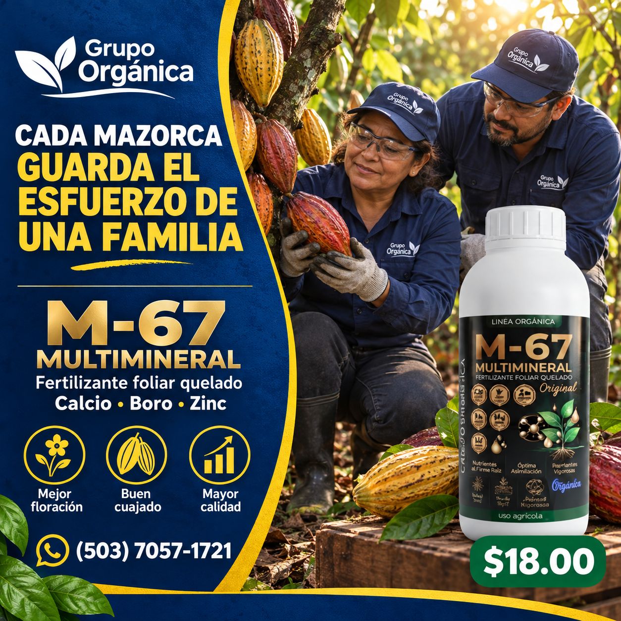 MULTIMINERAL M67