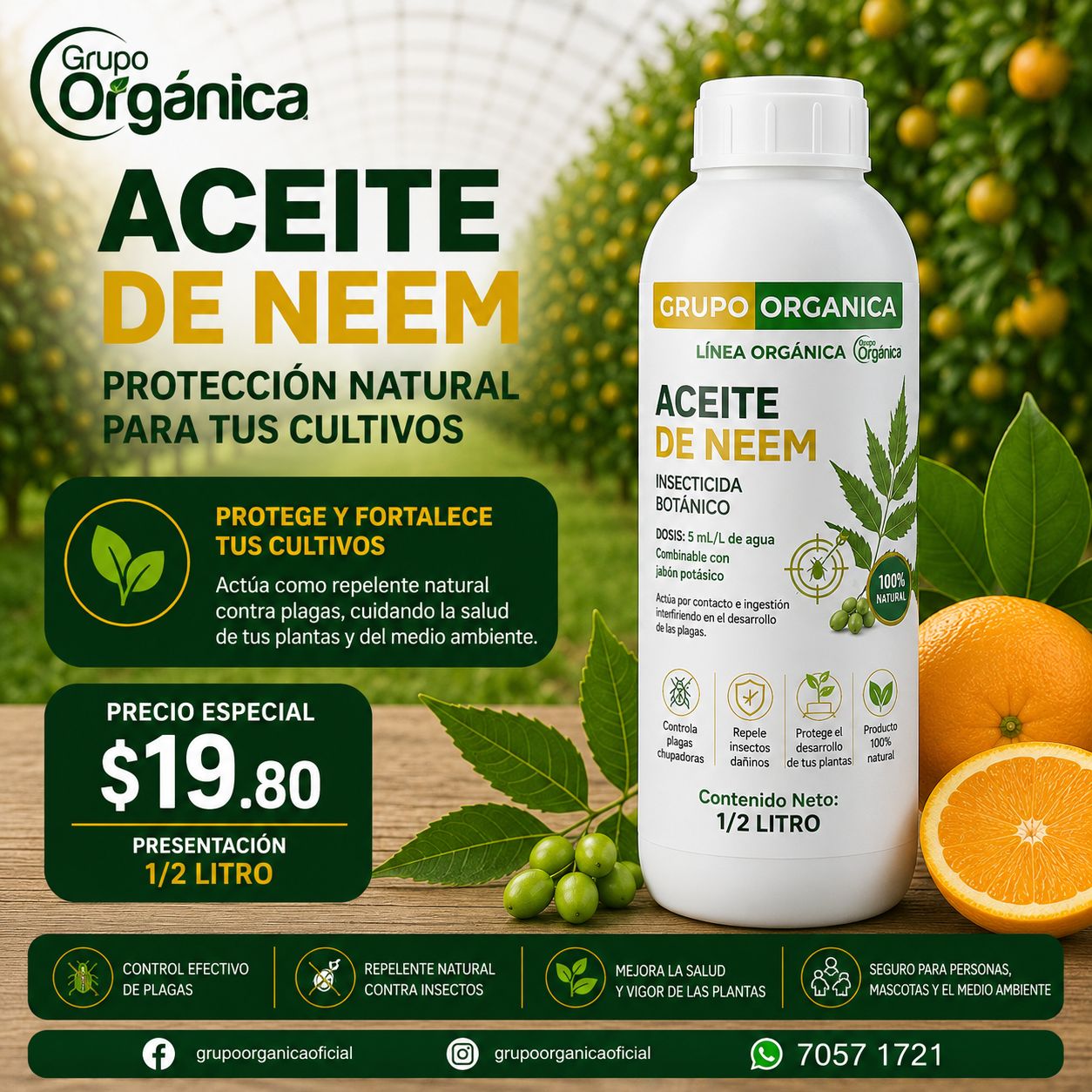 ACEITE DE NEEM 1/2 LT