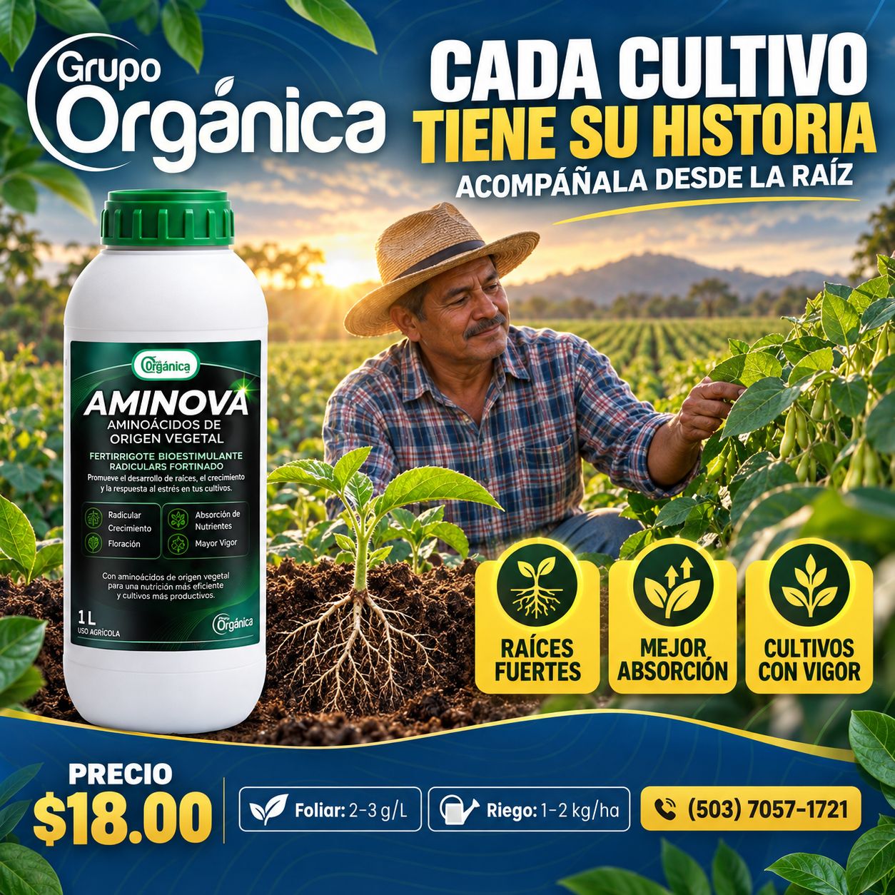 AMINOVA 3.1 litro