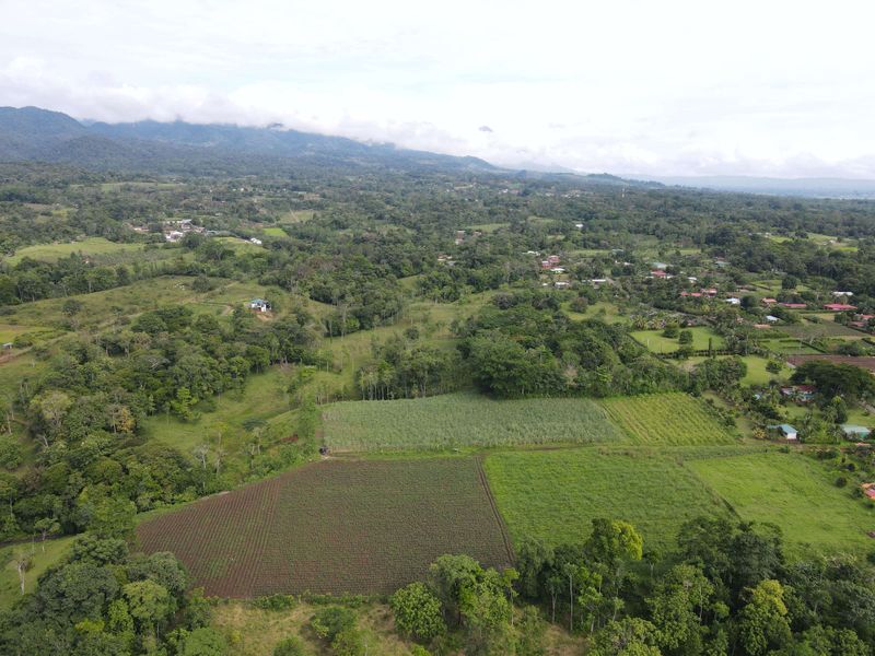 FINCA SAN RAFAEL – CHACHAGUA