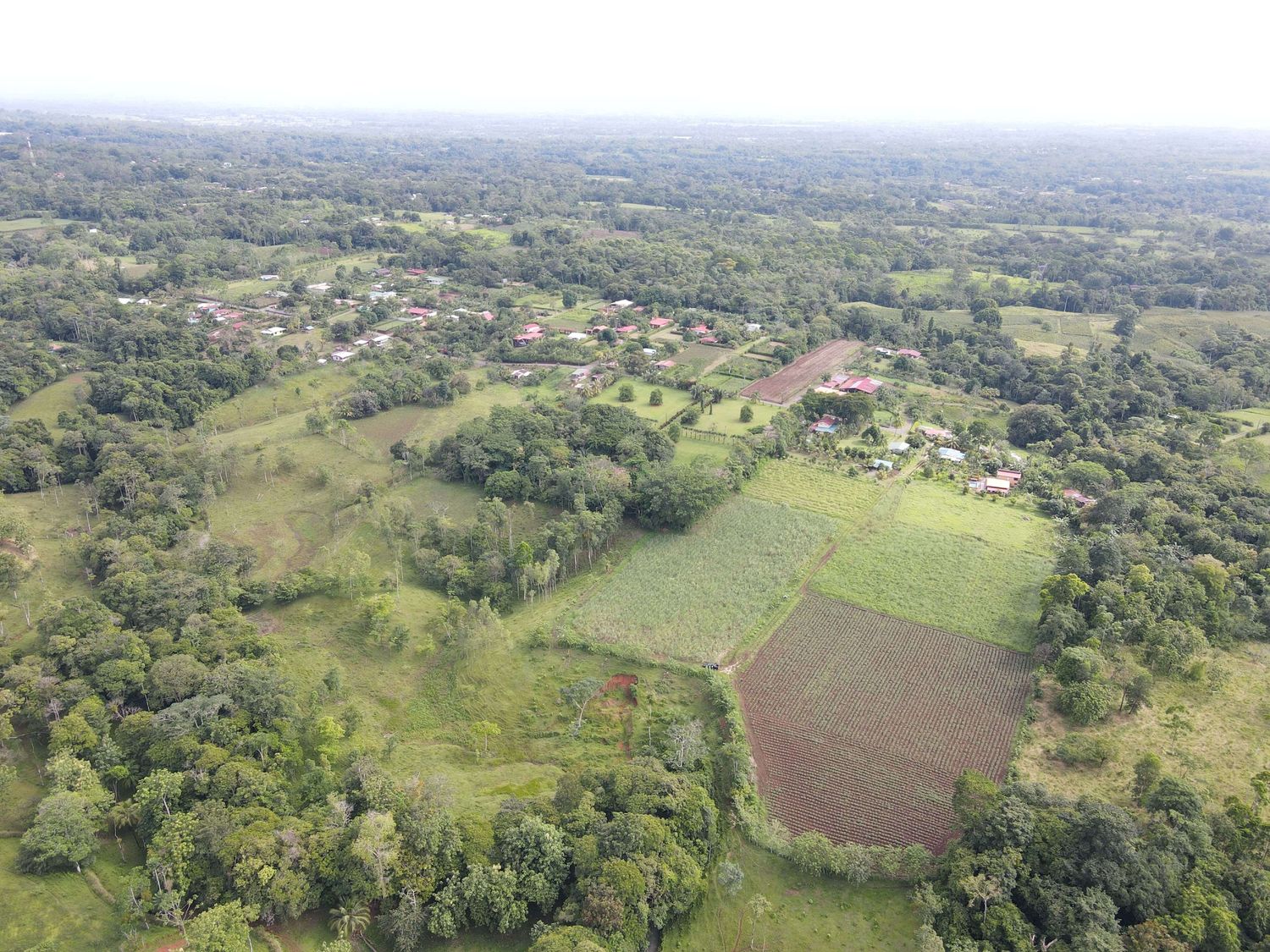 FINCA SAN RAFAEL – CHACHAGUA 2