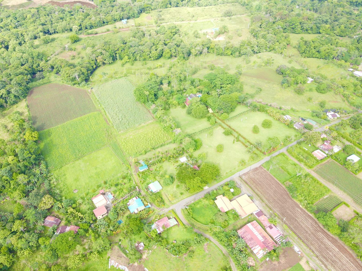 FINCA SAN RAFAEL – CHACHAGUA 4