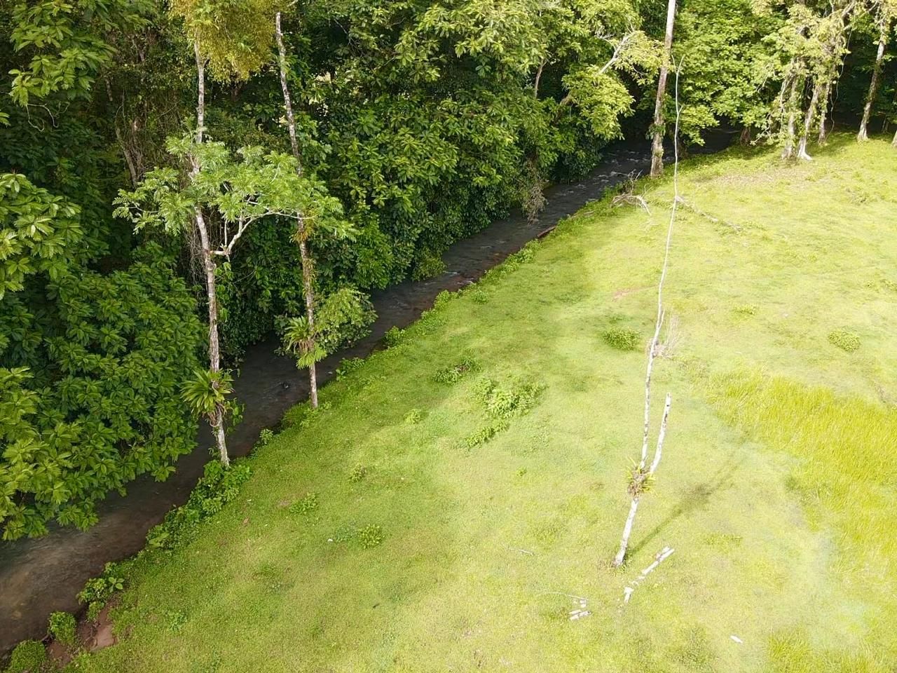 FINCA SAN RAFAEL – CHACHAGUA 7
