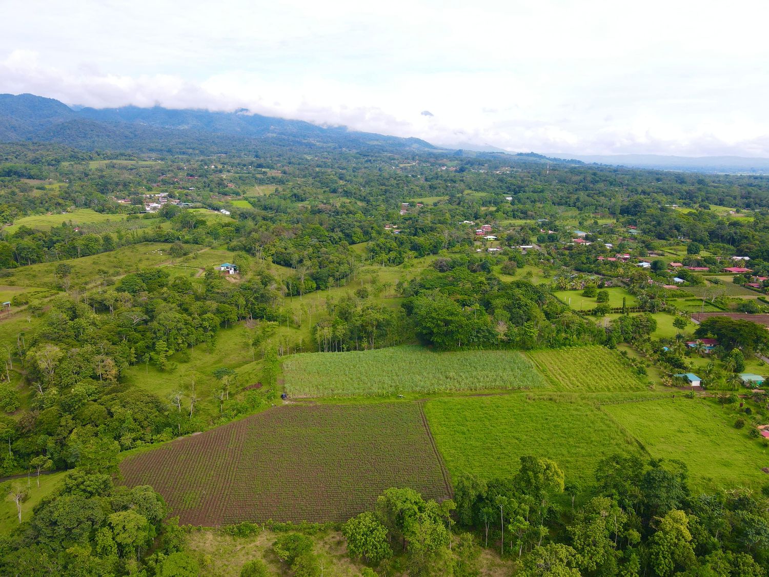FINCA SAN RAFAEL – CHACHAGUA 5