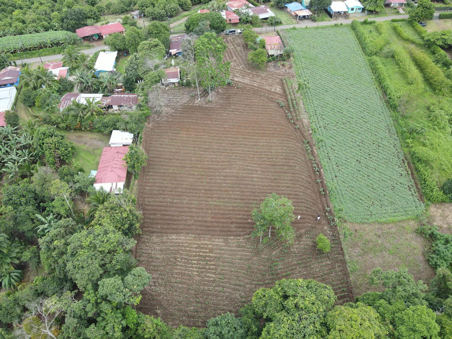 FINCA CALLE LA PECHUGA – CHACHAGUA 2