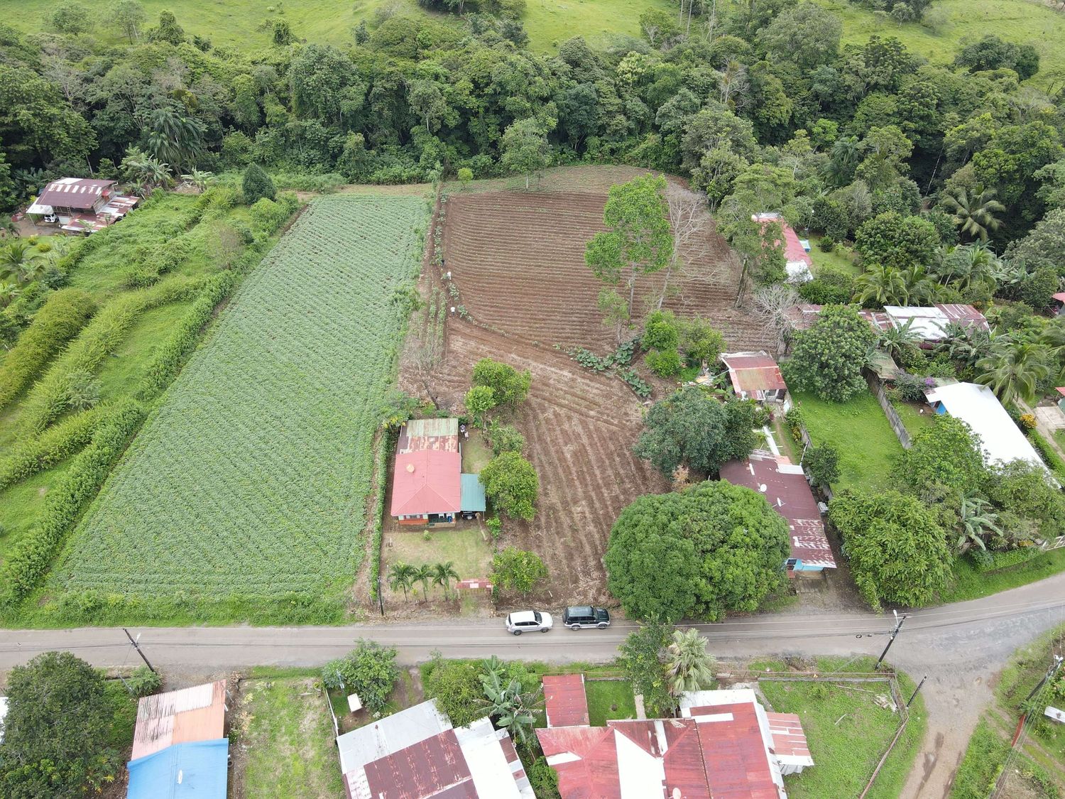 FINCA CALLE LA PECHUGA – CHACHAGUA 3