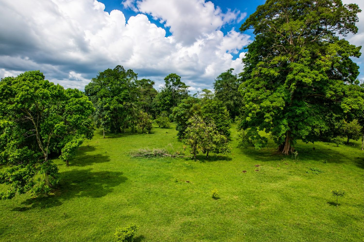 SE VENDE- FINCA EN EL PROGRESO – SAN RAMÓN 3