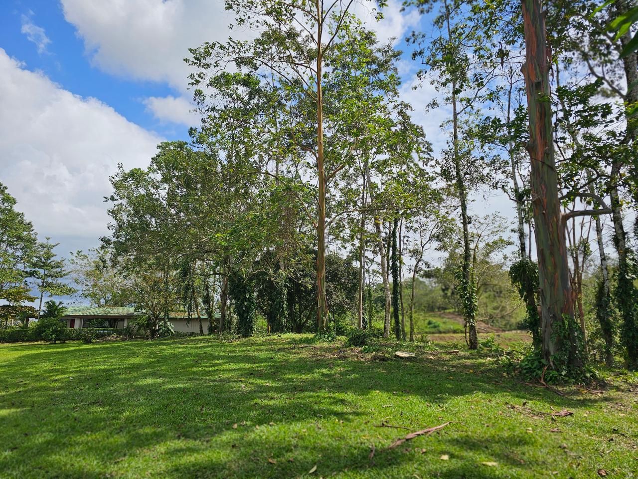 EN VENTA- QUINTA SAN FRANCISCO DE LA PALMERA 7