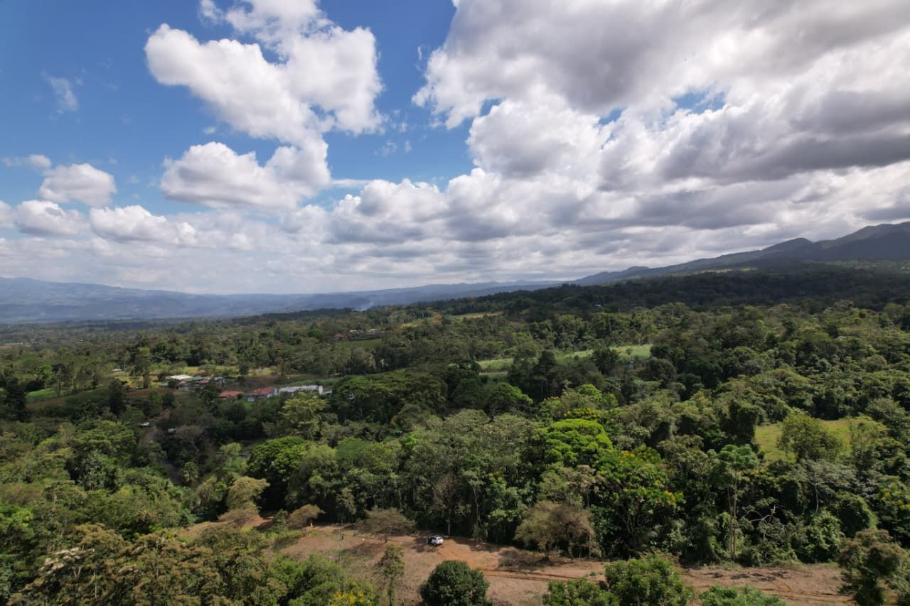 SE VENDE PROPIEDAD EN CHACHAGUA- SAN RAMÓN 6
