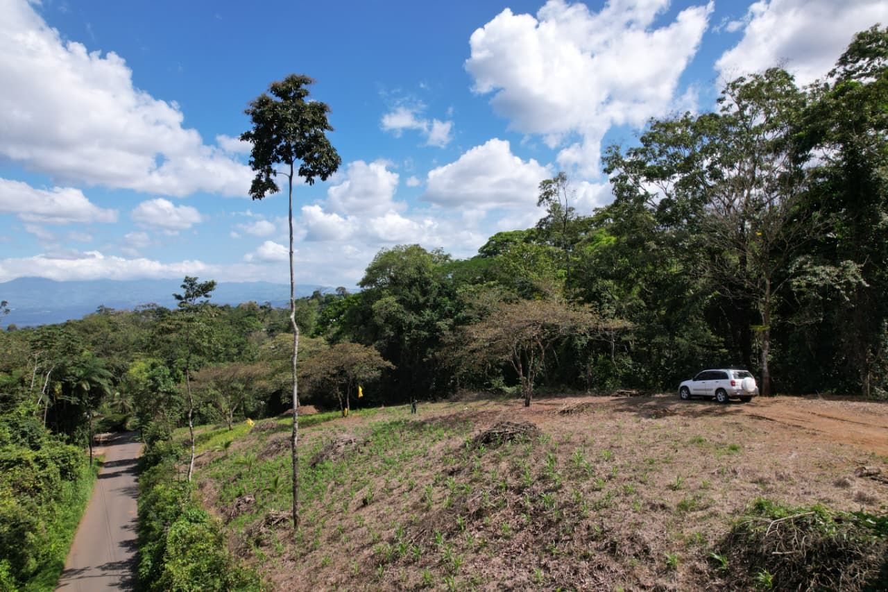 SE VENDE PROPIEDAD EN CHACHAGUA- SAN RAMÓN 2