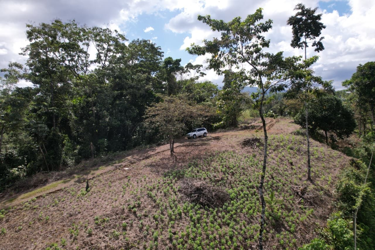 SE VENDE PROPIEDAD EN CHACHAGUA- SAN RAMÓN 8