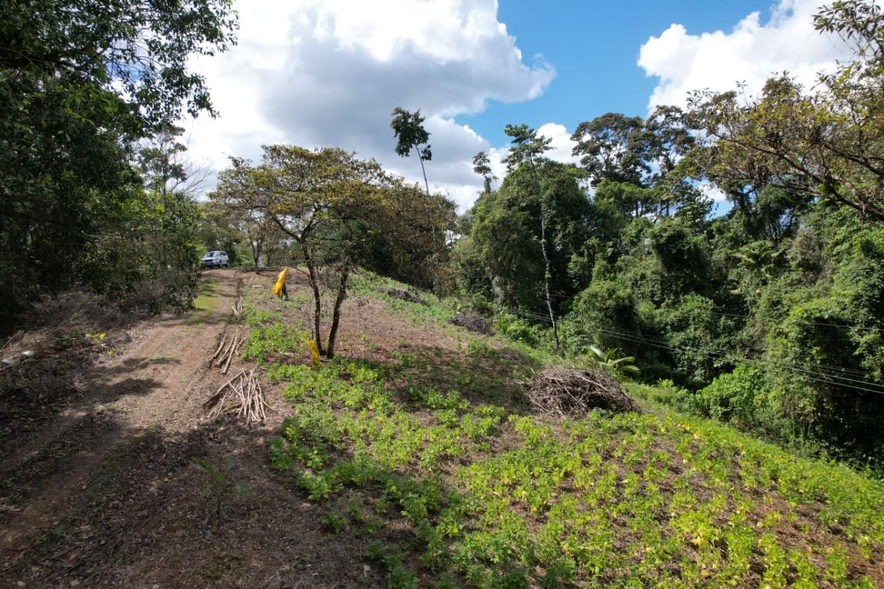 SE VENDE PROPIEDAD EN CHACHAGUA- SAN RAMÓN 11