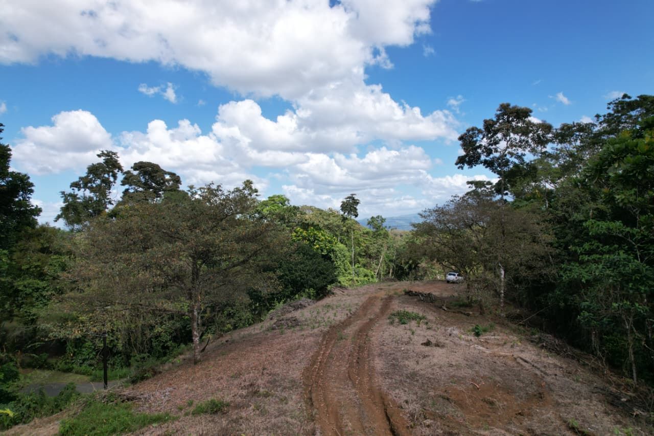 SE VENDE PROPIEDAD EN CHACHAGUA- SAN RAMÓN 12