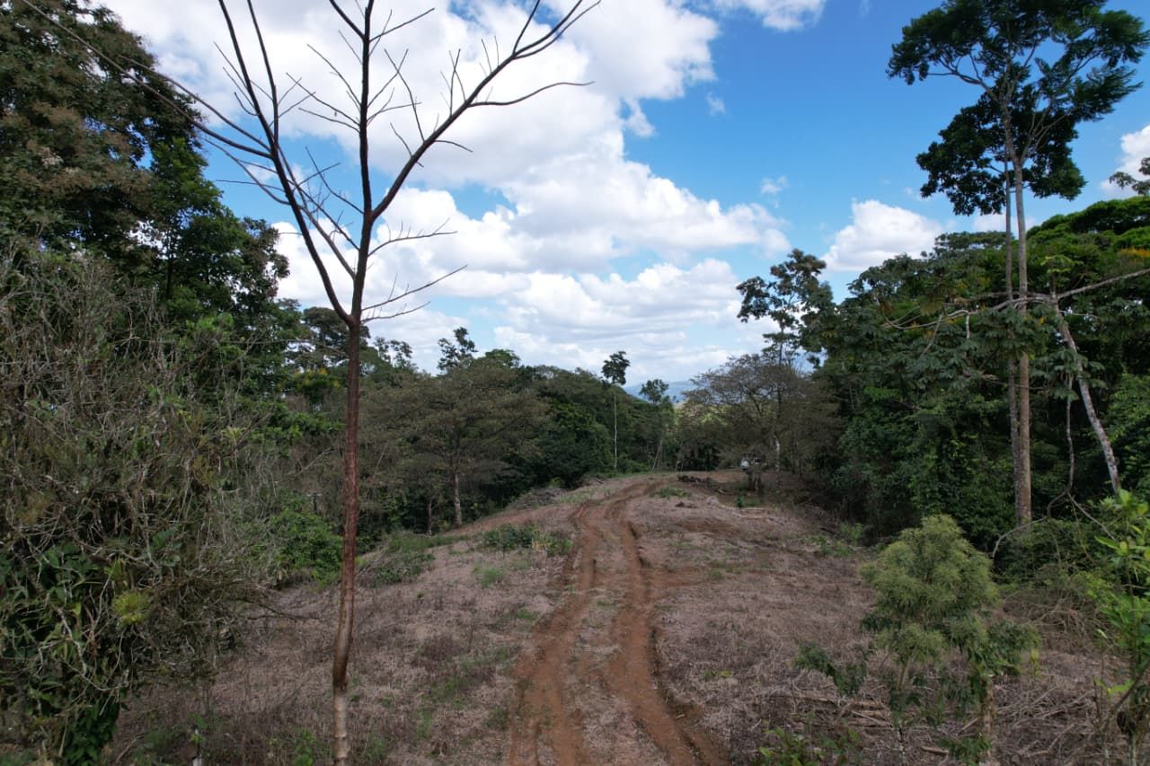 SE VENDE PROPIEDAD EN CHACHAGUA- SAN RAMÓN 13