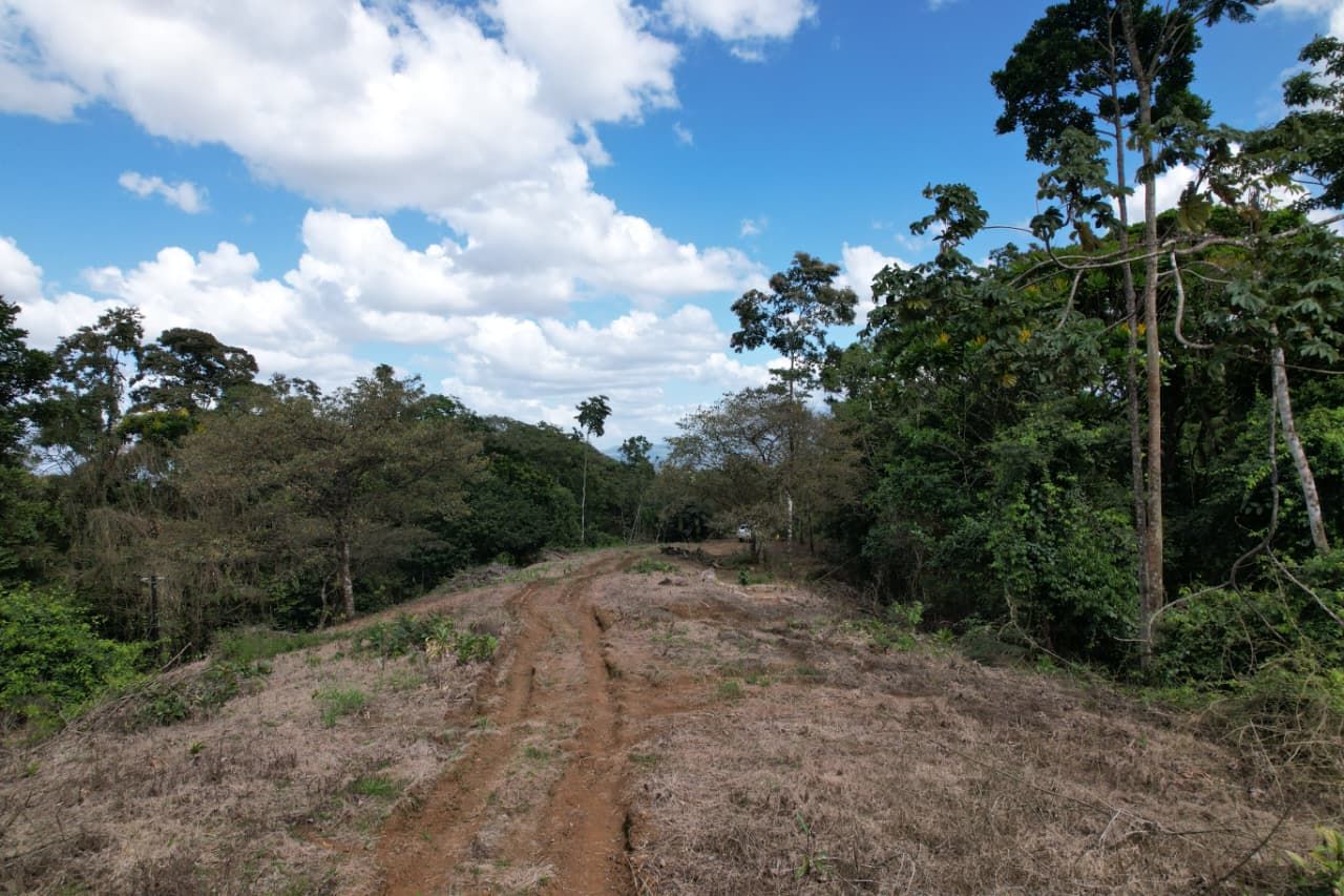 SE VENDE PROPIEDAD EN CHACHAGUA- SAN RAMÓN 10
