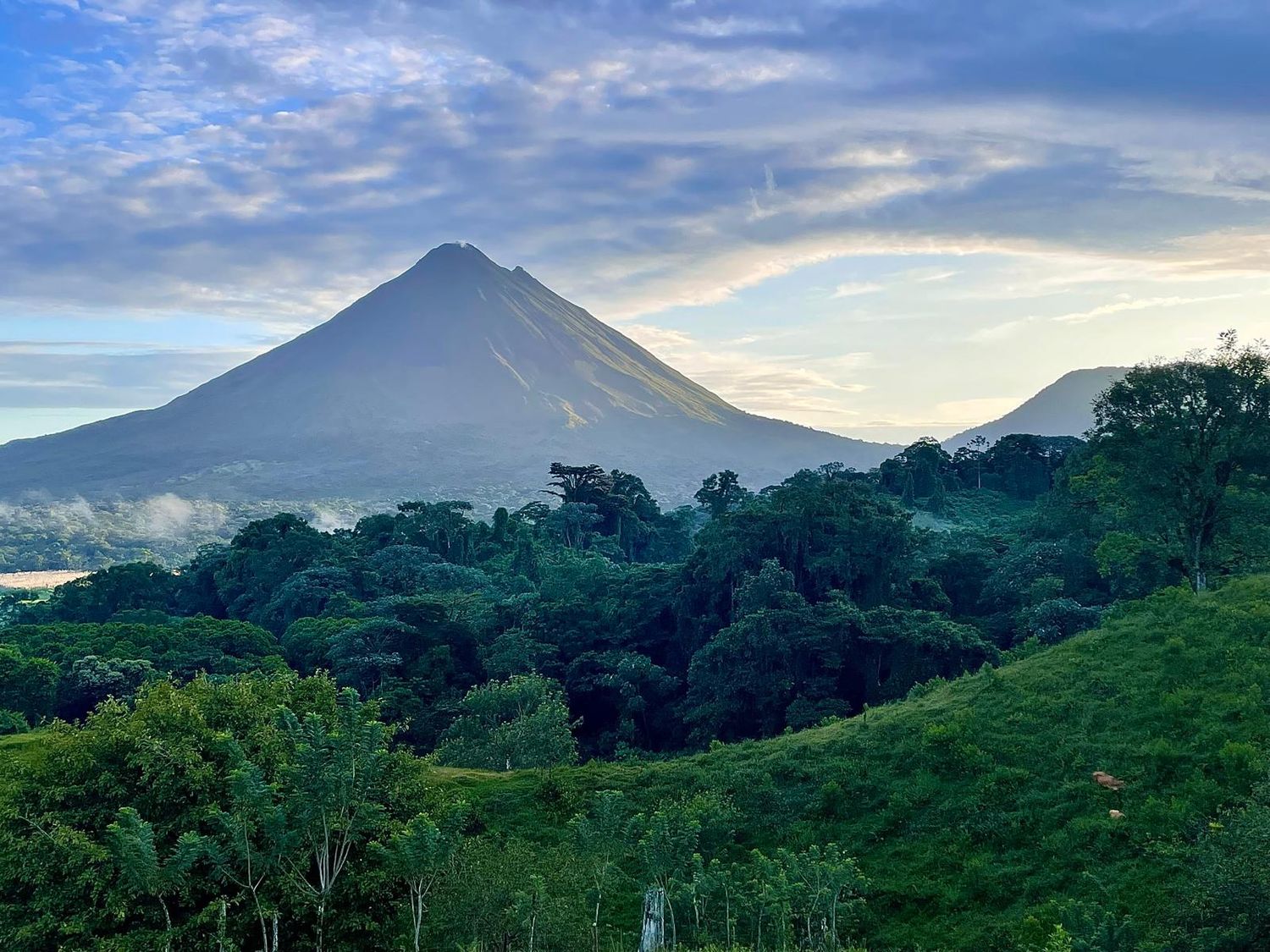 EN VENTA QUINTAS EN EL CASTILLO DE LA FORTUNA 3