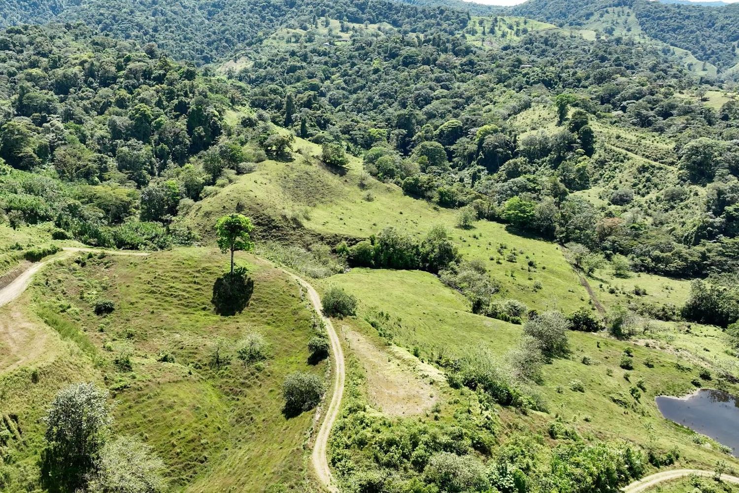 EN VENTA QUINTAS EN EL CASTILLO DE LA FORTUNA 6