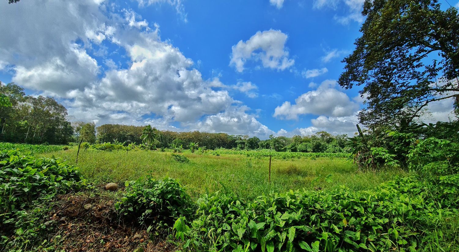 EN VENTA FINCA LA CRUZ- DE PEÑAS BLANCAS 2