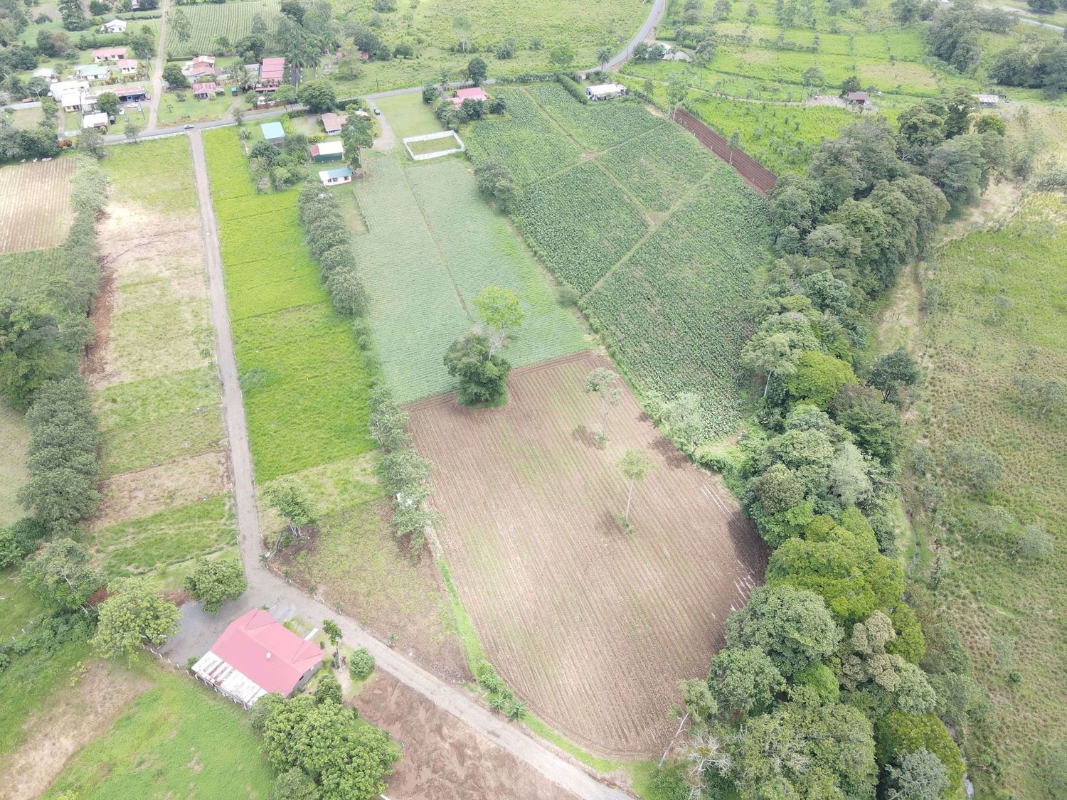 EN VENTA FINCA DE DESARROLLO-ZONA FLUCA DE LA FORTUNA 3