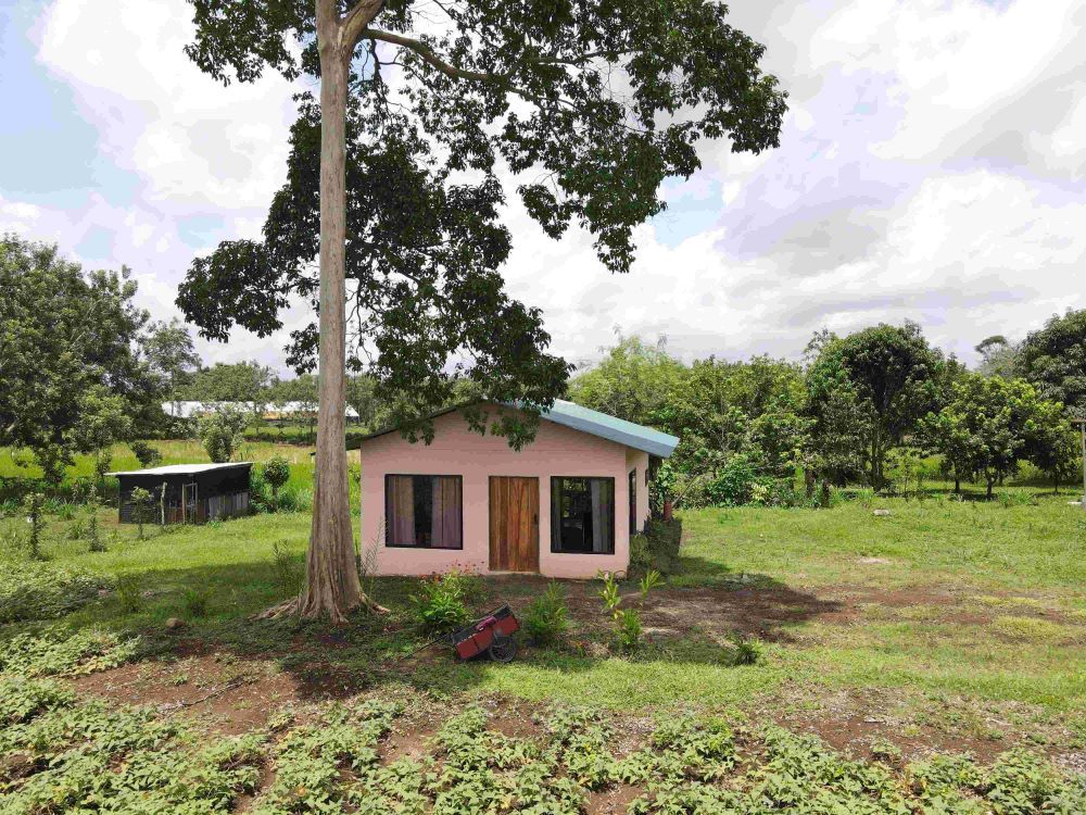 EN VENTA FINCA DE DESARROLLO-ZONA FLUCA DE LA FORTUNA 2