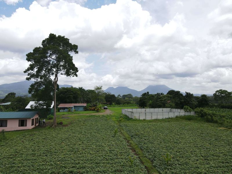EN VENTA FINCA DE DESARROLLO-ZONA FLUCA DE LA FORTUNA