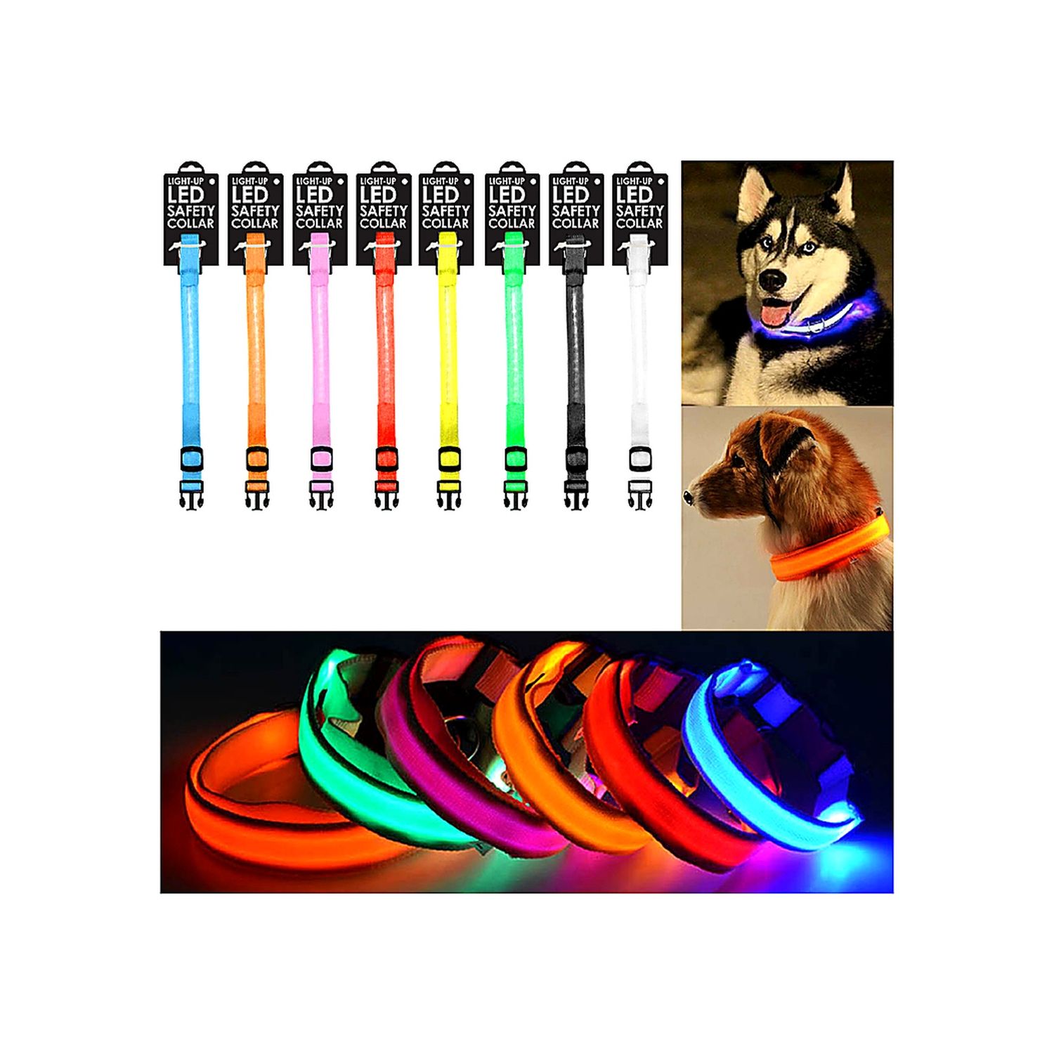 Dog Collars